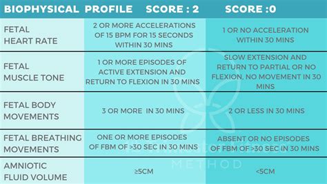 Biophysical Profile Score .